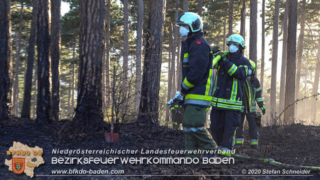 20200422 Waldbrand im Bereich Bezirksgrenze Wopfing (WN) und Alkersdorf (BN)  Foto:  Stefan Schneider BFK Baden