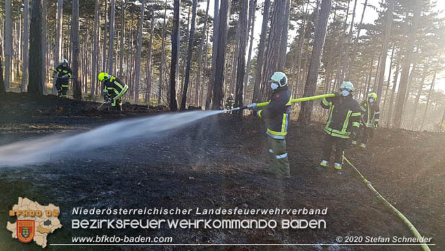 20200422 Waldbrand im Bereich Bezirksgrenze Wopfing (WN) und Alkersdorf (BN)  Foto:  Stefan Schneider BFK Baden