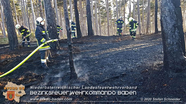 20200422 Waldbrand im Bereich Bezirksgrenze Wopfing (WN) und Alkersdorf (BN)  Foto:  Stefan Schneider BFK Baden