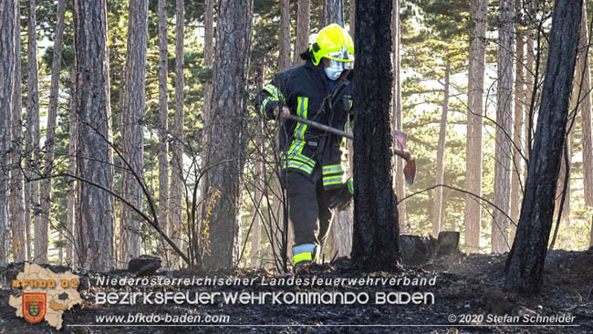 20200422 Waldbrand im Bereich Bezirksgrenze Wopfing (WN) und Alkersdorf (BN)  Foto:  Stefan Schneider BFK Baden