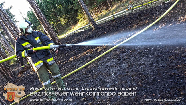 20200422 Waldbrand im Bereich Bezirksgrenze Wopfing (WN) und Alkersdorf (BN) Foto: © Stefan Schneider BFK Baden 20200422 Waldbrand im Bereich Bezirksgrenze Wopfing (WN) und Alkersdorf (BN) Foto: © Stefan Schneider BFK Baden