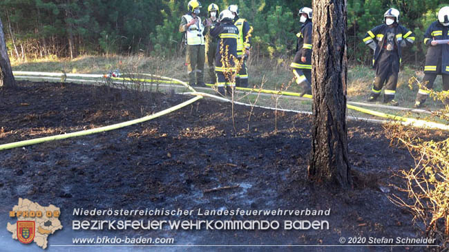 20200422 Waldbrand im Bereich Bezirksgrenze Wopfing (WN) und Alkersdorf (BN) Foto: © Stefan Schneider BFK Baden 20200422 Waldbrand im Bereich Bezirksgrenze Wopfing (WN) und Alkersdorf (BN) Foto: © Stefan Schneider BFK Baden