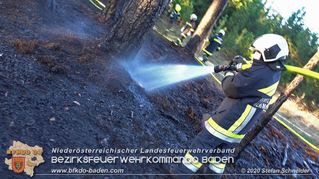 20200422 Waldbrand im Bereich Bezirksgrenze Wopfing (WN) und Alkersdorf (BN)  Foto:  Stefan Schneider BFK Baden