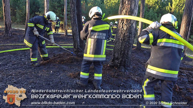 20200422 Waldbrand im Bereich Bezirksgrenze Wopfing (WN) und Alkersdorf (BN)  Foto:  Stefan Schneider BFK Baden