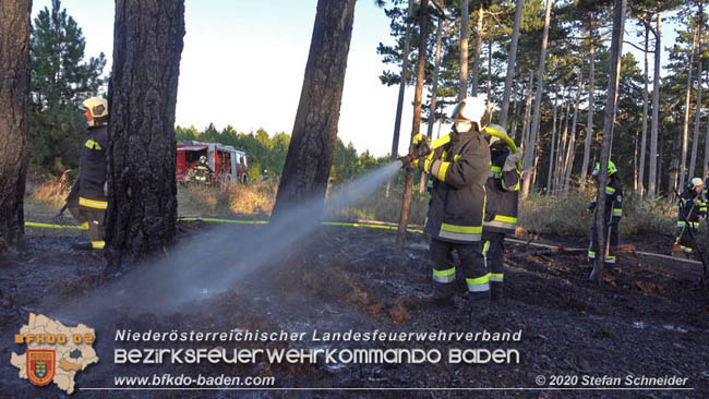 20200422 Waldbrand im Bereich Bezirksgrenze Wopfing (WN) und Alkersdorf (BN)  Foto:  Stefan Schneider BFK Baden