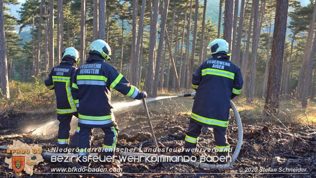 20200422 Waldbrand im Bereich Bezirksgrenze Wopfing (WN) und Alkersdorf (BN)  Foto:  Stefan Schneider BFK Baden