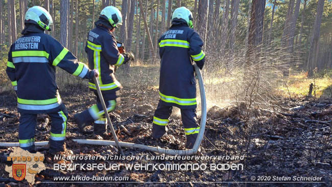 20200422 Waldbrand im Bereich Bezirksgrenze Wopfing (WN) und Alkersdorf (BN)  Foto:  Stefan Schneider BFK Baden