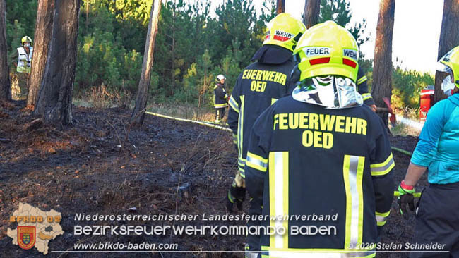 20200422 Waldbrand im Bereich Bezirksgrenze Wopfing (WN) und Alkersdorf (BN)  Foto:  Stefan Schneider BFK Baden