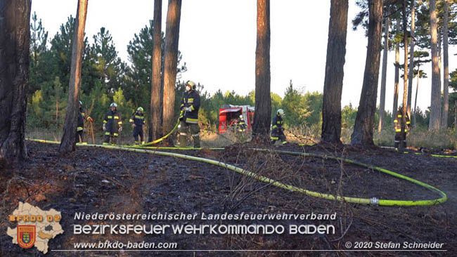 20200422 Waldbrand im Bereich Bezirksgrenze Wopfing (WN) und Alkersdorf (BN)  Foto:  Stefan Schneider BFK Baden