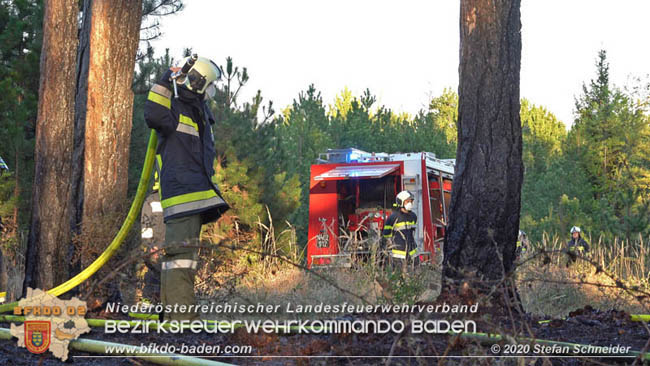 20200422 Waldbrand im Bereich Bezirksgrenze Wopfing (WN) und Alkersdorf (BN)  Foto:  Stefan Schneider BFK Baden