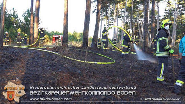 20200422 Waldbrand im Bereich Bezirksgrenze Wopfing (WN) und Alkersdorf (BN) Foto: © Stefan Schneider BFK Baden 20200422 Waldbrand im Bereich Bezirksgrenze Wopfing (WN) und Alkersdorf (BN) Foto: © Stefan Schneider BFK Baden