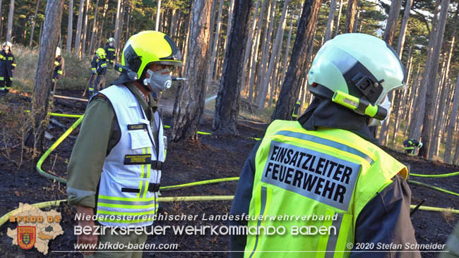 20200422 Waldbrand im Bereich Bezirksgrenze Wopfing (WN) und Alkersdorf (BN)  Foto:  Stefan Schneider BFK Baden