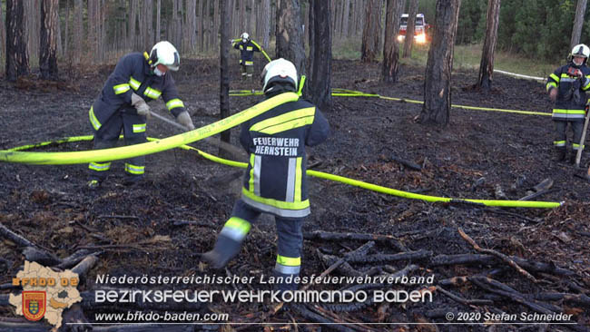 20200422 Waldbrand im Bereich Bezirksgrenze Wopfing (WN) und Alkersdorf (BN)  Foto:  Stefan Schneider BFK Baden