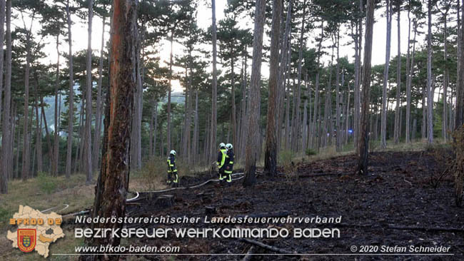 20200422 Waldbrand im Bereich Bezirksgrenze Wopfing (WN) und Alkersdorf (BN)  Foto:  Stefan Schneider BFK Baden