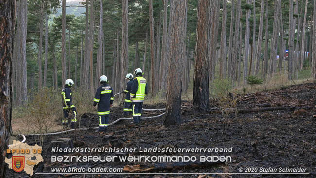 20200422 Waldbrand im Bereich Bezirksgrenze Wopfing (WN) und Alkersdorf (BN)  Foto:  Stefan Schneider BFK Baden