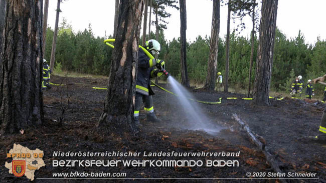 20200422 Waldbrand im Bereich Bezirksgrenze Wopfing (WN) und Alkersdorf (BN)  Foto:  Stefan Schneider BFK Baden