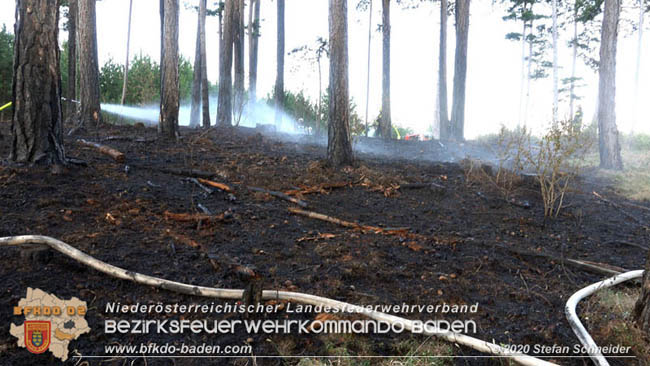 20200422 Waldbrand im Bereich Bezirksgrenze Wopfing (WN) und Alkersdorf (BN)  Foto:  Stefan Schneider BFK Baden