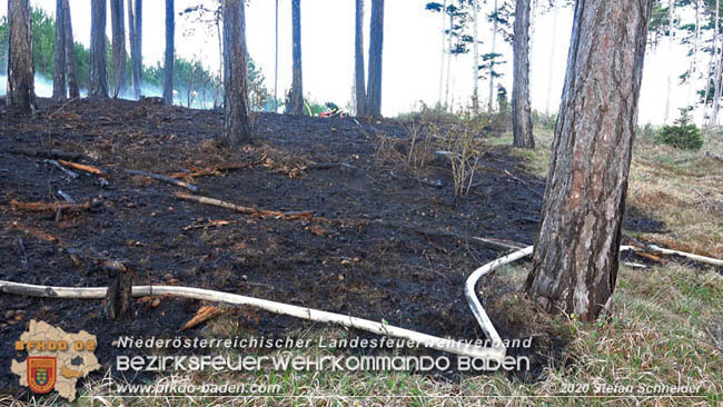20200422 Waldbrand im Bereich Bezirksgrenze Wopfing (WN) und Alkersdorf (BN) Foto: © Stefan Schneider BFK Baden 20200422 Waldbrand im Bereich Bezirksgrenze Wopfing (WN) und Alkersdorf (BN) Foto: © Stefan Schneider BFK Baden