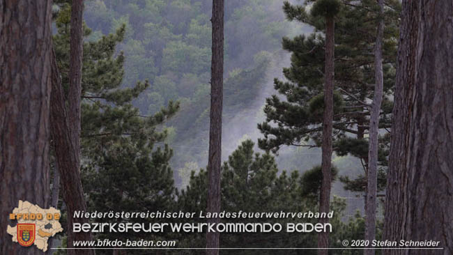 20200422 Waldbrand im Bereich Bezirksgrenze Wopfing (WN) und Alkersdorf (BN) Foto: © Stefan Schneider BFK Baden 20200422 Waldbrand im Bereich Bezirksgrenze Wopfing (WN) und Alkersdorf (BN) Foto: © Stefan Schneider BFK Baden