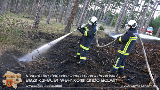 20200422 Waldbrand im Bereich Bezirksgrenze Wopfing (WN) und Alkersdorf (BN)  Foto:  Stefan Schneider BFK Baden