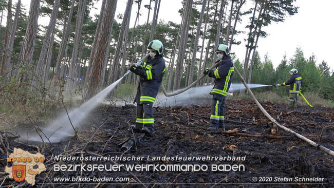 20200422 Waldbrand im Bereich Bezirksgrenze Wopfing (WN) und Alkersdorf (BN)  Foto:  Stefan Schneider BFK Baden