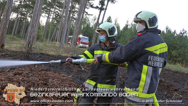 20200422 Waldbrand im Bereich Bezirksgrenze Wopfing (WN) und Alkersdorf (BN)  Foto:  Stefan Schneider BFK Baden