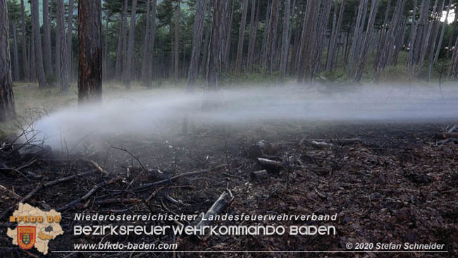 20200422 Waldbrand im Bereich Bezirksgrenze Wopfing (WN) und Alkersdorf (BN) Foto: © Stefan Schneider BFK Baden 20200422 Waldbrand im Bereich Bezirksgrenze Wopfing (WN) und Alkersdorf (BN) Foto: © Stefan Schneider BFK Baden