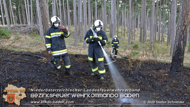 20200422 Waldbrand im Bereich Bezirksgrenze Wopfing (WN) und Alkersdorf (BN)  Foto:  Stefan Schneider BFK Baden