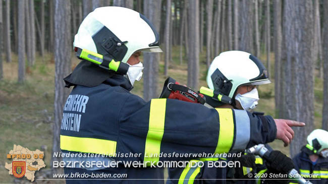 20200422 Waldbrand im Bereich Bezirksgrenze Wopfing (WN) und Alkersdorf (BN)  Foto:  Stefan Schneider BFK Baden