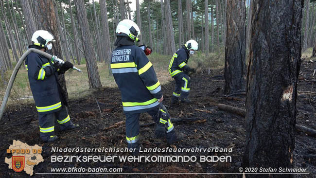 20200422 Waldbrand im Bereich Bezirksgrenze Wopfing (WN) und Alkersdorf (BN) Foto: © Stefan Schneider BFK Baden 20200422 Waldbrand im Bereich Bezirksgrenze Wopfing (WN) und Alkersdorf (BN) Foto: © Stefan Schneider BFK Baden