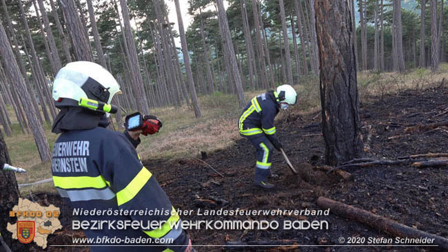20200422 Waldbrand im Bereich Bezirksgrenze Wopfing (WN) und Alkersdorf (BN) Foto: © Stefan Schneider BFK Baden 20200422 Waldbrand im Bereich Bezirksgrenze Wopfing (WN) und Alkersdorf (BN) Foto: © Stefan Schneider BFK Baden