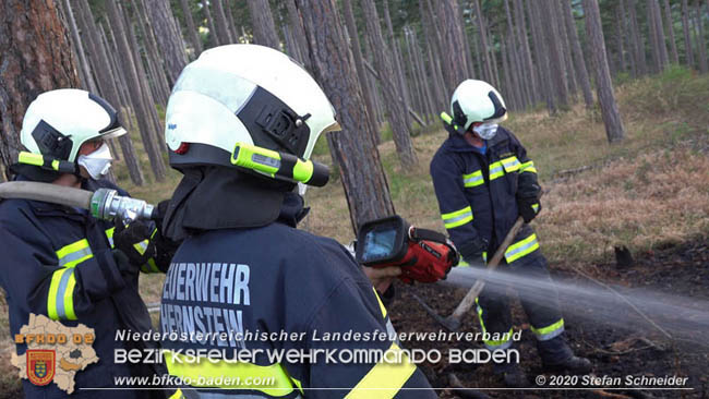 20200422 Waldbrand im Bereich Bezirksgrenze Wopfing (WN) und Alkersdorf (BN)  Foto:  Stefan Schneider BFK Baden