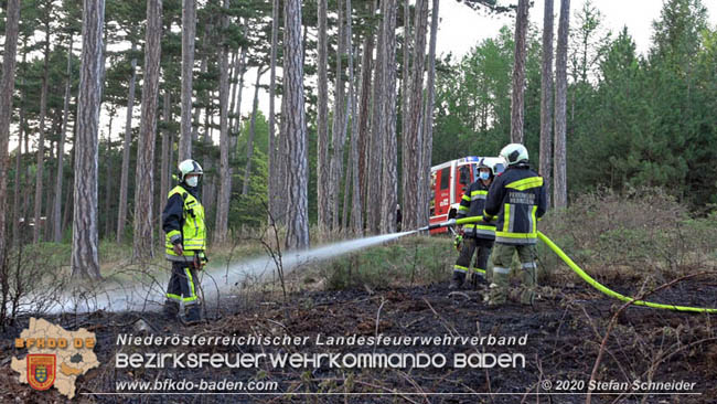 20200422 Waldbrand im Bereich Bezirksgrenze Wopfing (WN) und Alkersdorf (BN)  Foto:  Stefan Schneider BFK Baden