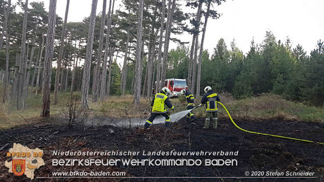 20200422 Waldbrand im Bereich Bezirksgrenze Wopfing (WN) und Alkersdorf (BN) Foto: © Stefan Schneider BFK Baden 20200422 Waldbrand im Bereich Bezirksgrenze Wopfing (WN) und Alkersdorf (BN) Foto: © Stefan Schneider BFK Baden