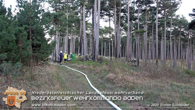 20200422 Waldbrand im Bereich Bezirksgrenze Wopfing (WN) und Alkersdorf (BN)  Foto:  Stefan Schneider BFK Baden