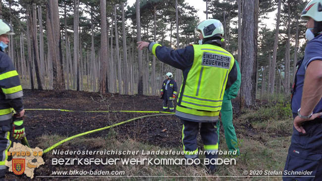 20200422 Waldbrand im Bereich Bezirksgrenze Wopfing (WN) und Alkersdorf (BN) Foto: © Stefan Schneider BFK Baden 20200422 Waldbrand im Bereich Bezirksgrenze Wopfing (WN) und Alkersdorf (BN) Foto: © Stefan Schneider BFK Baden