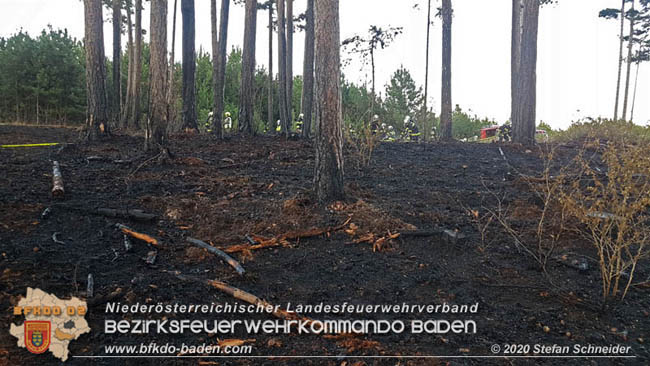 20200422 Waldbrand im Bereich Bezirksgrenze Wopfing (WN) und Alkersdorf (BN) Foto: © Stefan Schneider BFK Baden 20200422 Waldbrand im Bereich Bezirksgrenze Wopfing (WN) und Alkersdorf (BN) Foto: © Stefan Schneider BFK Baden