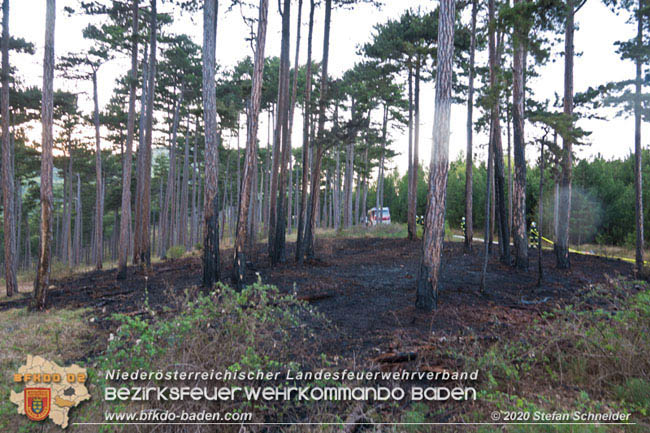20200422 Waldbrand im Bereich Bezirksgrenze Wopfing (WN) und Alkersdorf (BN) Foto: © Stefan Schneider BFK Baden 20200422 Waldbrand im Bereich Bezirksgrenze Wopfing (WN) und Alkersdorf (BN) Foto: © Stefan Schneider BFK Baden