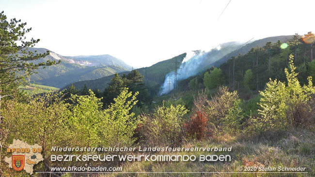 20200422 Waldbrand im Bereich Bezirksgrenze Wopfing (WN) und Alkersdorf (BN) Foto: © Stefan Schneider BFK Baden 20200422 Waldbrand im Bereich Bezirksgrenze Wopfing (WN) und Alkersdorf (BN) Foto: © Stefan Schneider BFK Baden