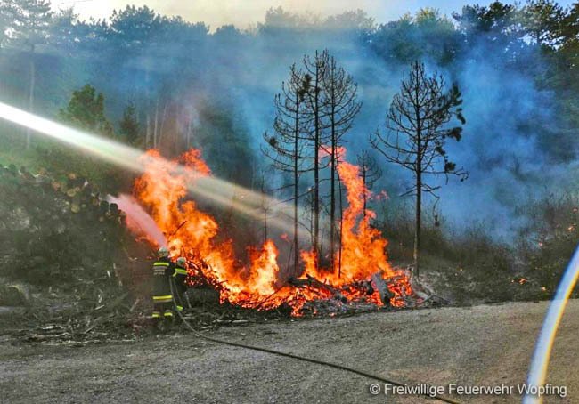 20200422 Waldbrand im Bereich Bezirksgrenze Wopfing (WN) und Alkersdorf (BN)  Foto:  Freiwillige Feuerwehr Wopfing