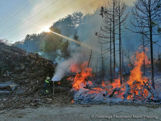 20200422 Waldbrand im Bereich Bezirksgrenze Wopfing (WN) und Alkersdorf (BN)  Foto:  Freiwillige Feuerwehr Markt Piesting