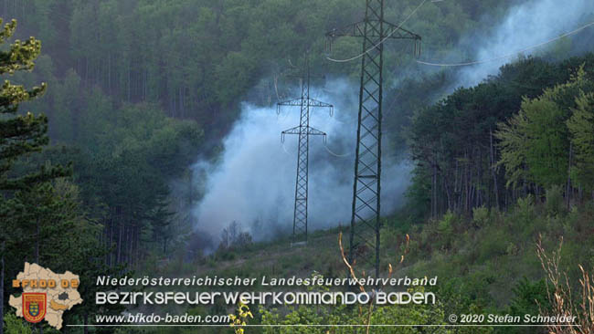 20200422 Waldbrand im Bereich Bezirksgrenze Wopfing (WN) und Alkersdorf (BN) Foto: © Stefan Schneider BFK Baden 20200422 Waldbrand im Bereich Bezirksgrenze Wopfing (WN) und Alkersdorf (BN) Foto: © Stefan Schneider BFK Baden