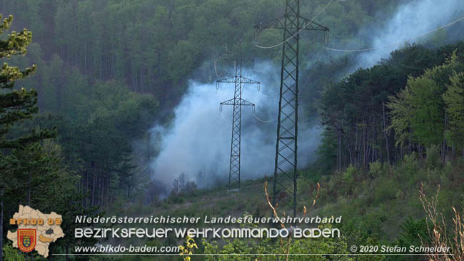 20200422 Waldbrand im Bereich Bezirksgrenze Wopfing (WN) und Alkersdorf (BN)  Foto:  Stefan Schneider BFK Baden