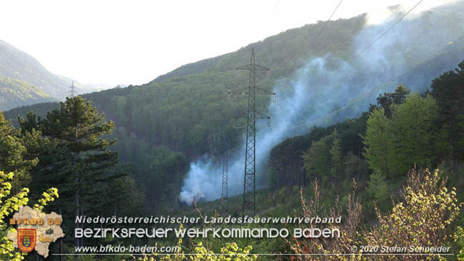 20200422 Waldbrand im Bereich Bezirksgrenze Wopfing (WN) und Alkersdorf (BN) Foto: © Stefan Schneider BFK Baden 20200422 Waldbrand im Bereich Bezirksgrenze Wopfing (WN) und Alkersdorf (BN) Foto: © Stefan Schneider BFK Baden