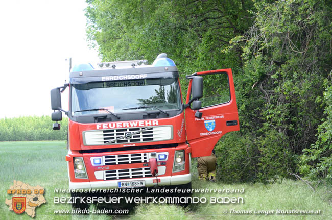 20200514 Feuerwehr rettet zwei Baby-Waldkauze in Ebreichsdorf   Fotos:  Thomas Lenger Monatsrevue.at