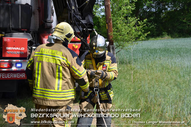 20200514 Feuerwehr rettet zwei Baby-Waldkauze in Ebreichsdorf   Fotos:  Thomas Lenger Monatsrevue.at