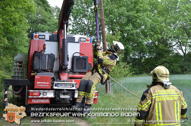20200514 Feuerwehr rettet zwei Baby-Waldkauze in Ebreichsdorf   Fotos:  Thomas Lenger Monatsrevue.at