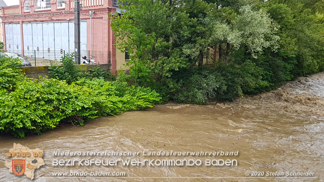 20200621 Hochwasserfhrende Schwechat im Stadtgebiet von Baden  Fotos:  Stefan Schneider