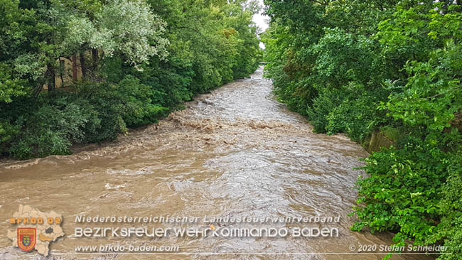 20200621 Hochwasserfhrende Schwechat im Stadtgebiet von Baden  Fotos:  Stefan Schneider