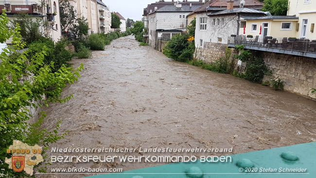 20200621 Hochwasserfhrende Schwechat im Stadtgebiet von Baden  Fotos:  Stefan Schneider